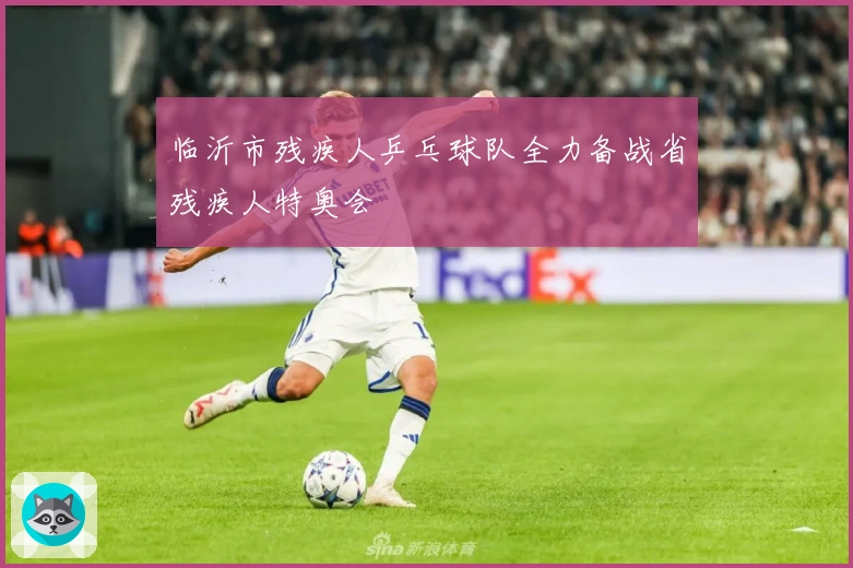 临沂市残疾人乒乓球队全力备战省残疾人特奥会