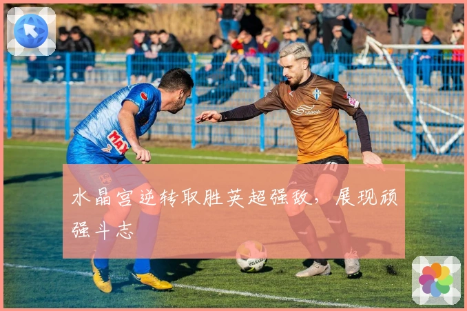 水晶宫逆转取胜英超强敌，展现顽强斗志